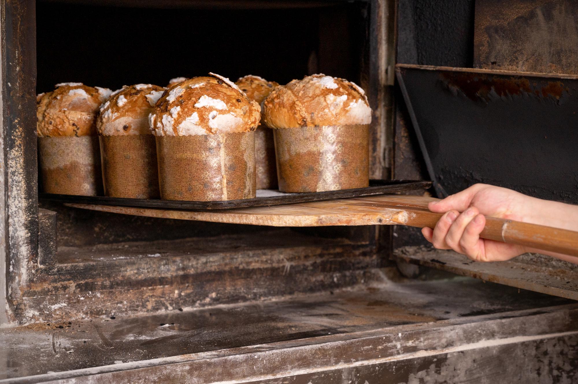 Close-up of baked loaf cooling on rack